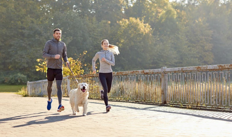 Tips For Exercising With Your Dog